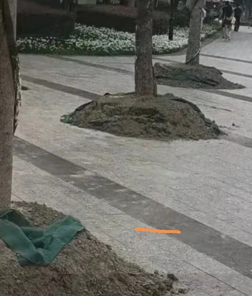 杭州亚运会不锈钢树盆禁不住网暴，一夜之间全消失了，留下一个个悲伤的土坑。不锈钢没