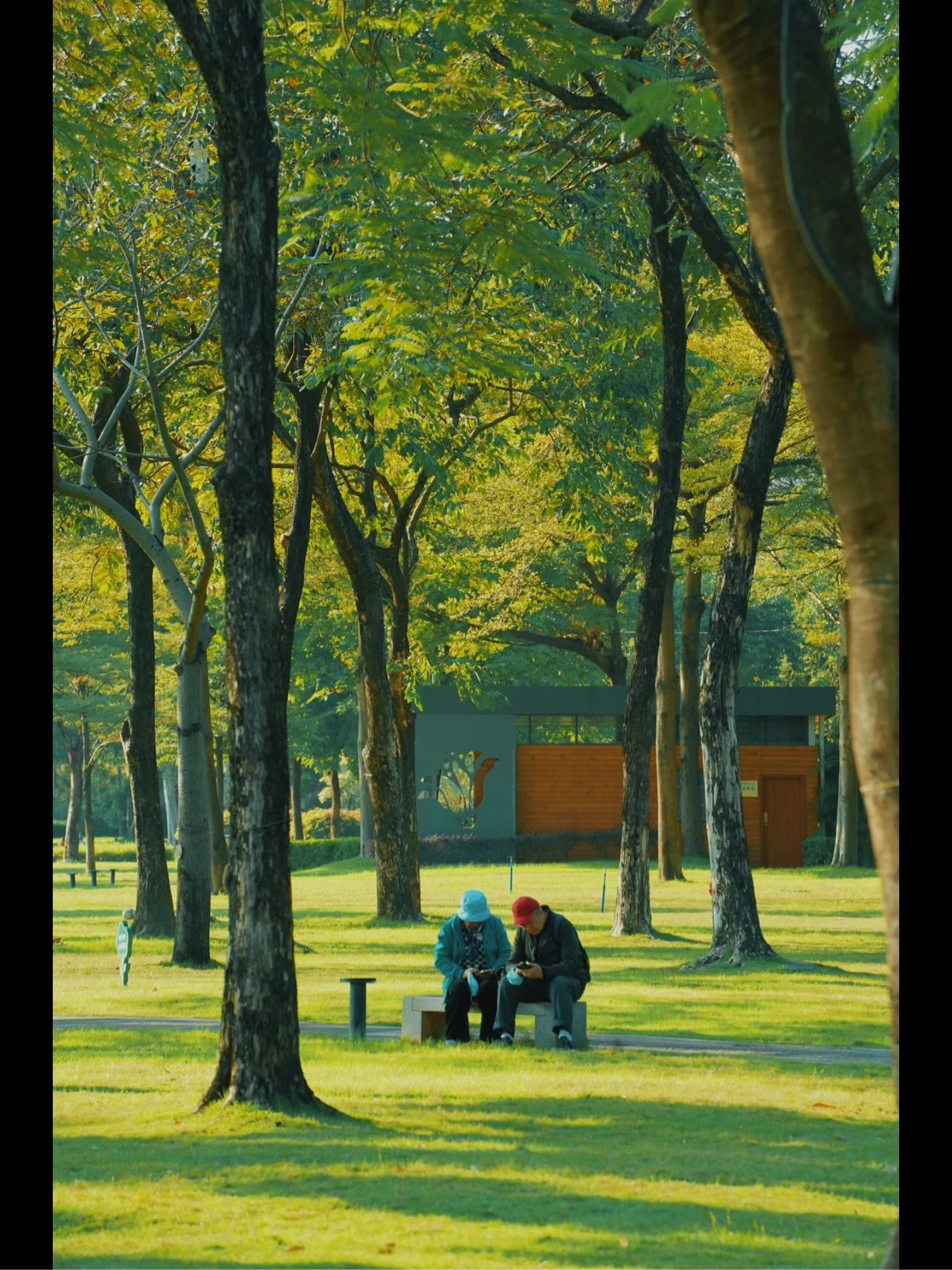 严重被低估的公园，王嘉尔的后花园 二沙岛