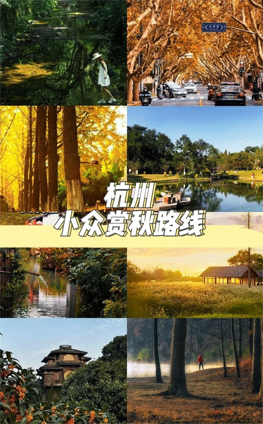 杭州⑧条小众赏秋🍁路线，值得刷N次