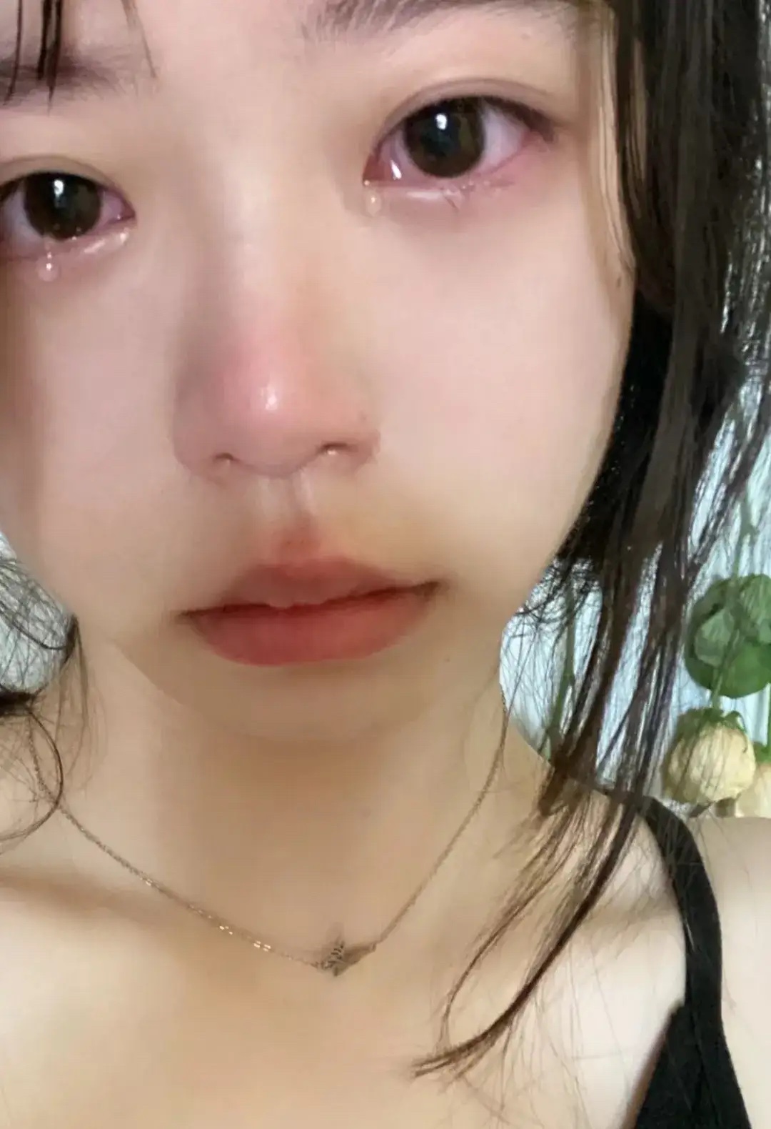两年青春喂了狗，得不到的永远在骚动？
距离除夕还有12天，却发现初恋男朋友出轨了