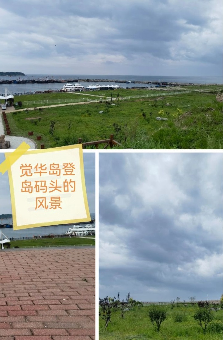 四个妈五个娃三天两晚的葫芦岛之旅