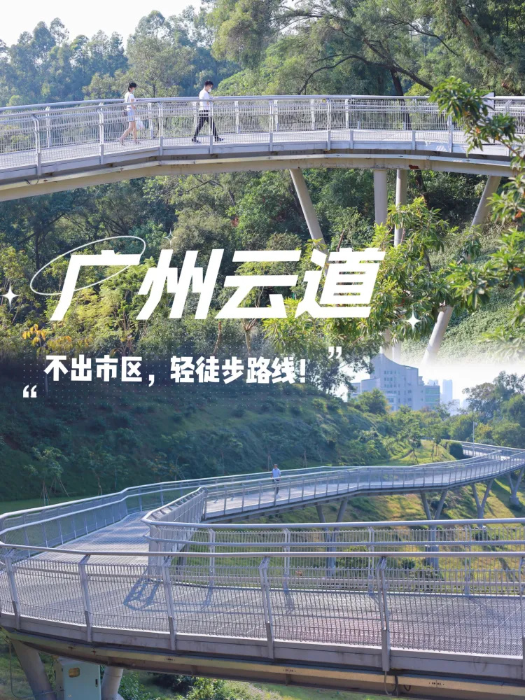 不出远门去徒步懒人带娃也能尝试的云道路线