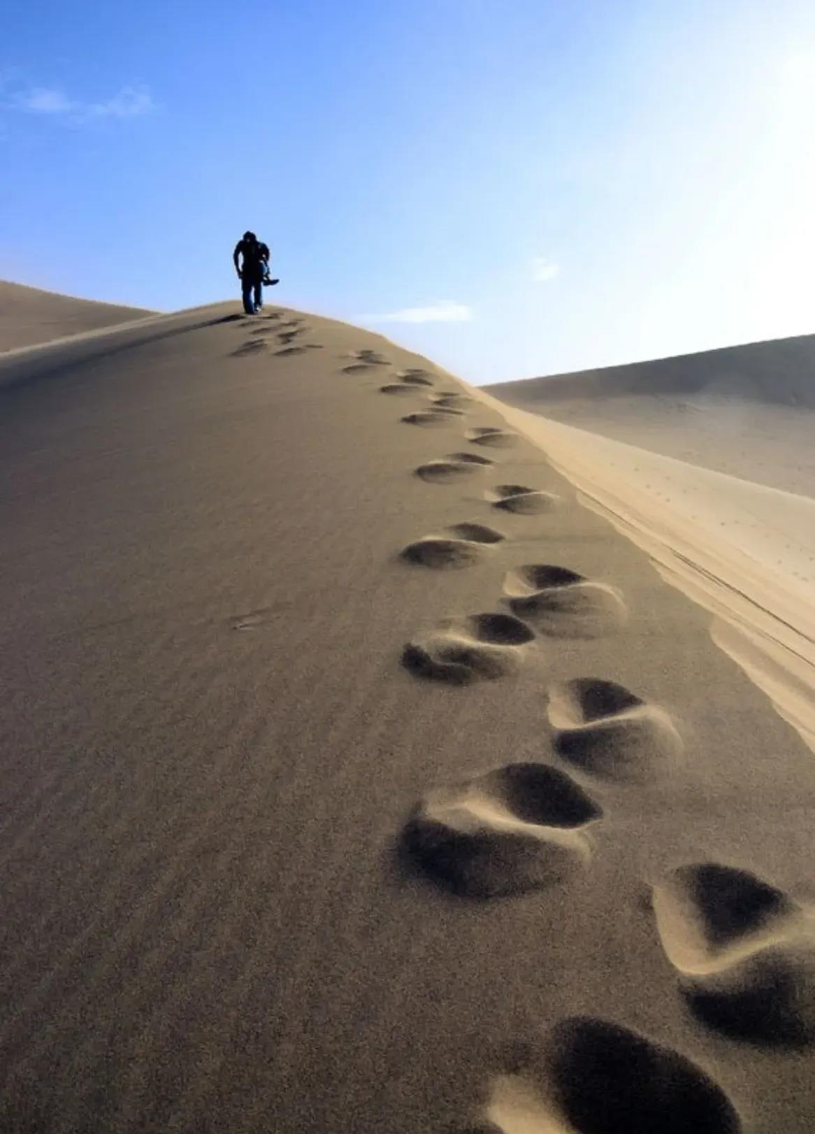 俄乌战争启示录#你研究过战争吗#     1，不要被带歪了节奏。海湾战争让人觉得