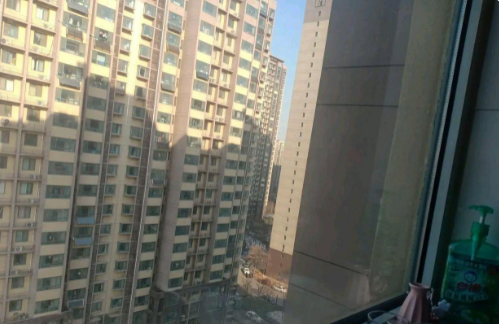 昨天是我搬新家度过的第一个周末！本该欢乐鼓舞，但心里一点高兴不起来！

回想起当