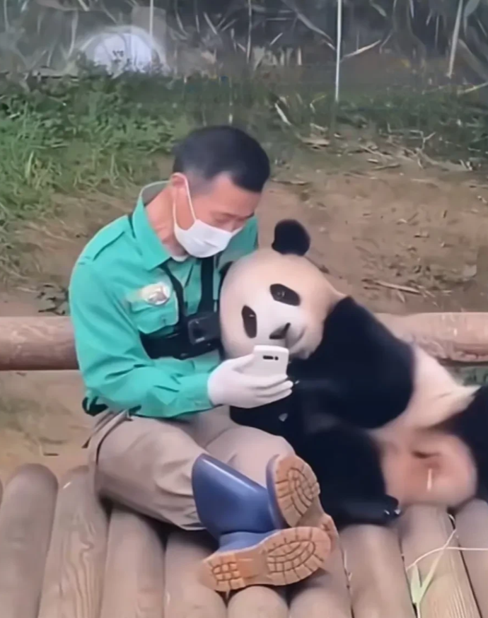 据姜爷爷说，福宝要是回国过得不好，他要三年后再接她回去。
宋爷爷说，等他退休，就
