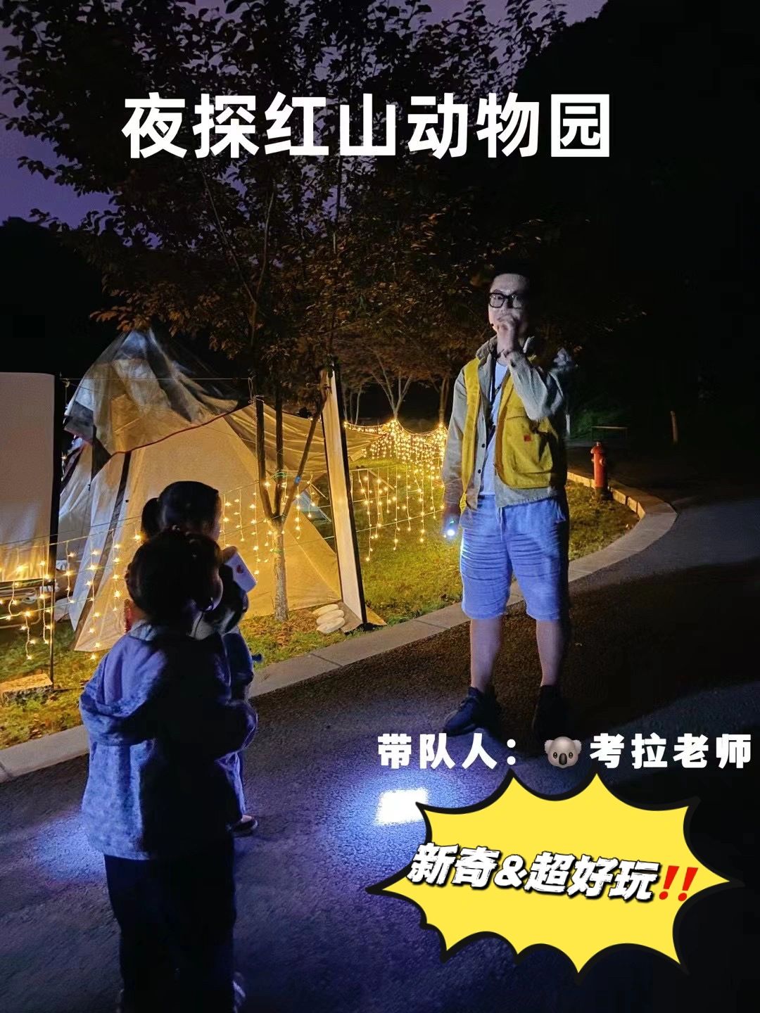 关于夜宿红山森林动物园系列疑问解答