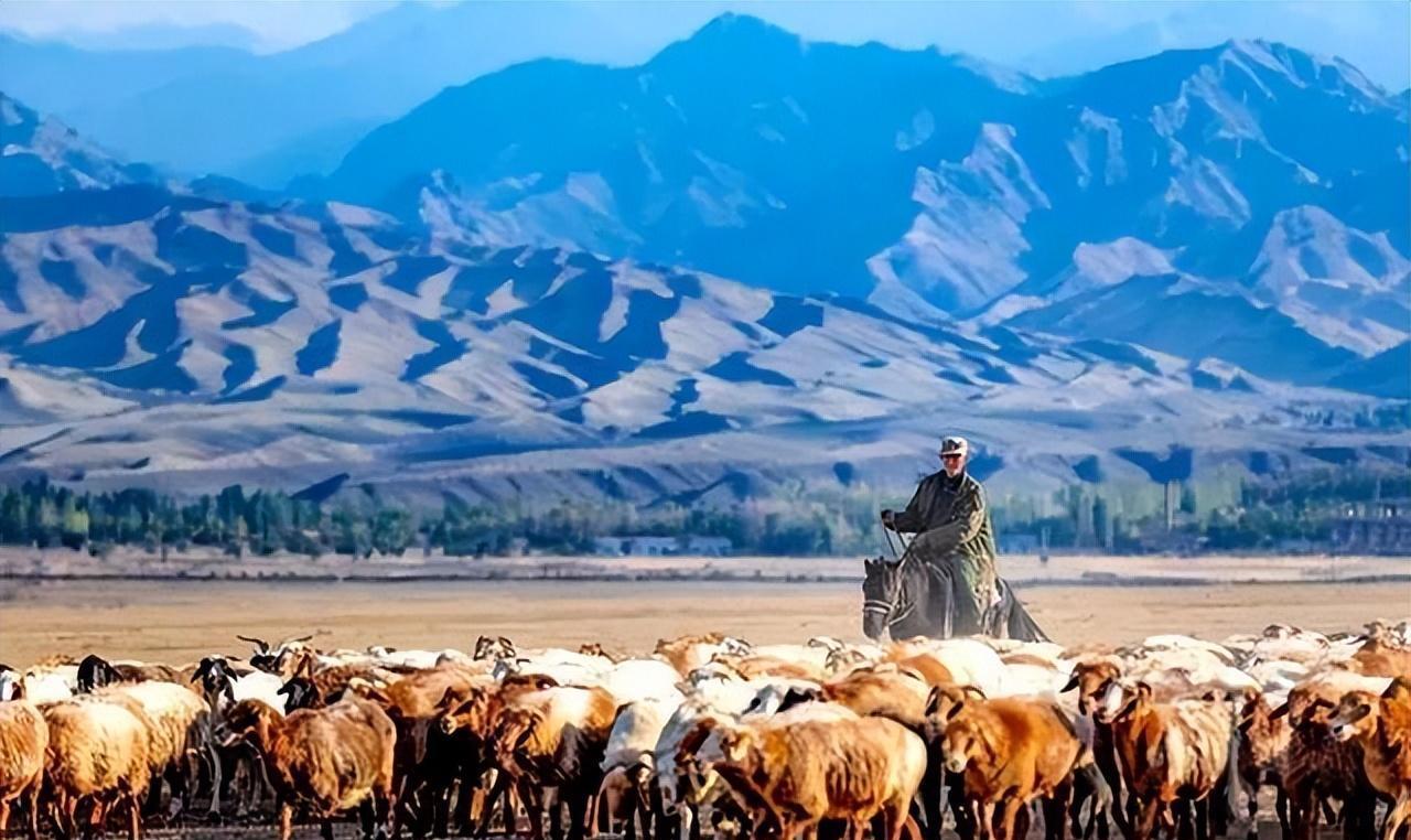 是未知生物吗? 新疆发现“红柳娃”, 身高不足1尺, 和人长得一样