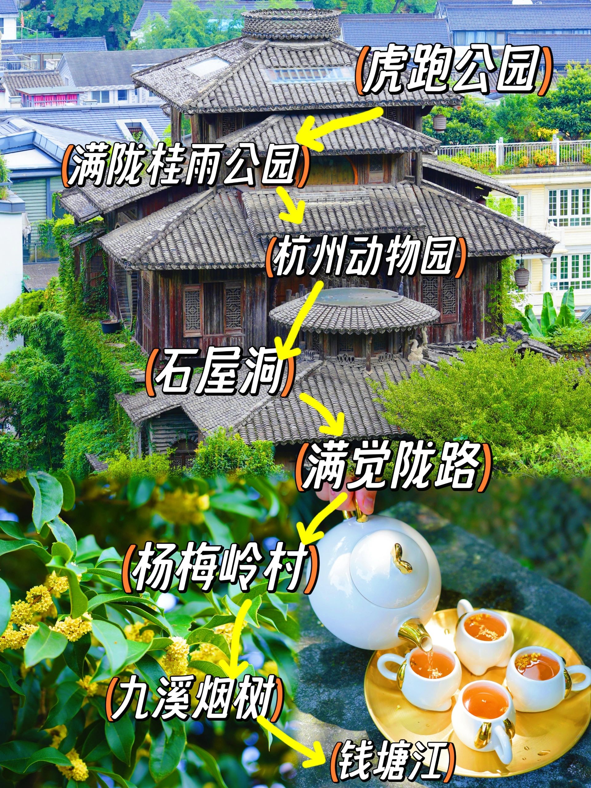一路桂花飘香，比西湖还舒服的赏秋路线