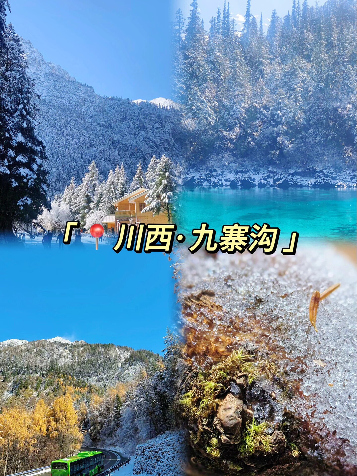 九寨沟｜听劝11-12🈷️去别当大冤种