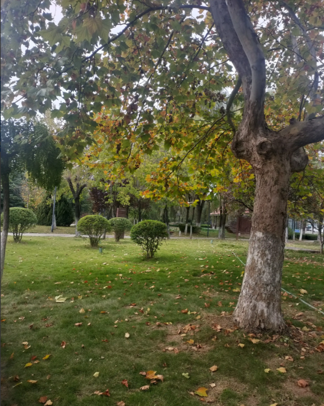 一个人现实到什么程度？昨天，我们村书记家嫁女儿，在大酒店摆了150多桌，真是热闹