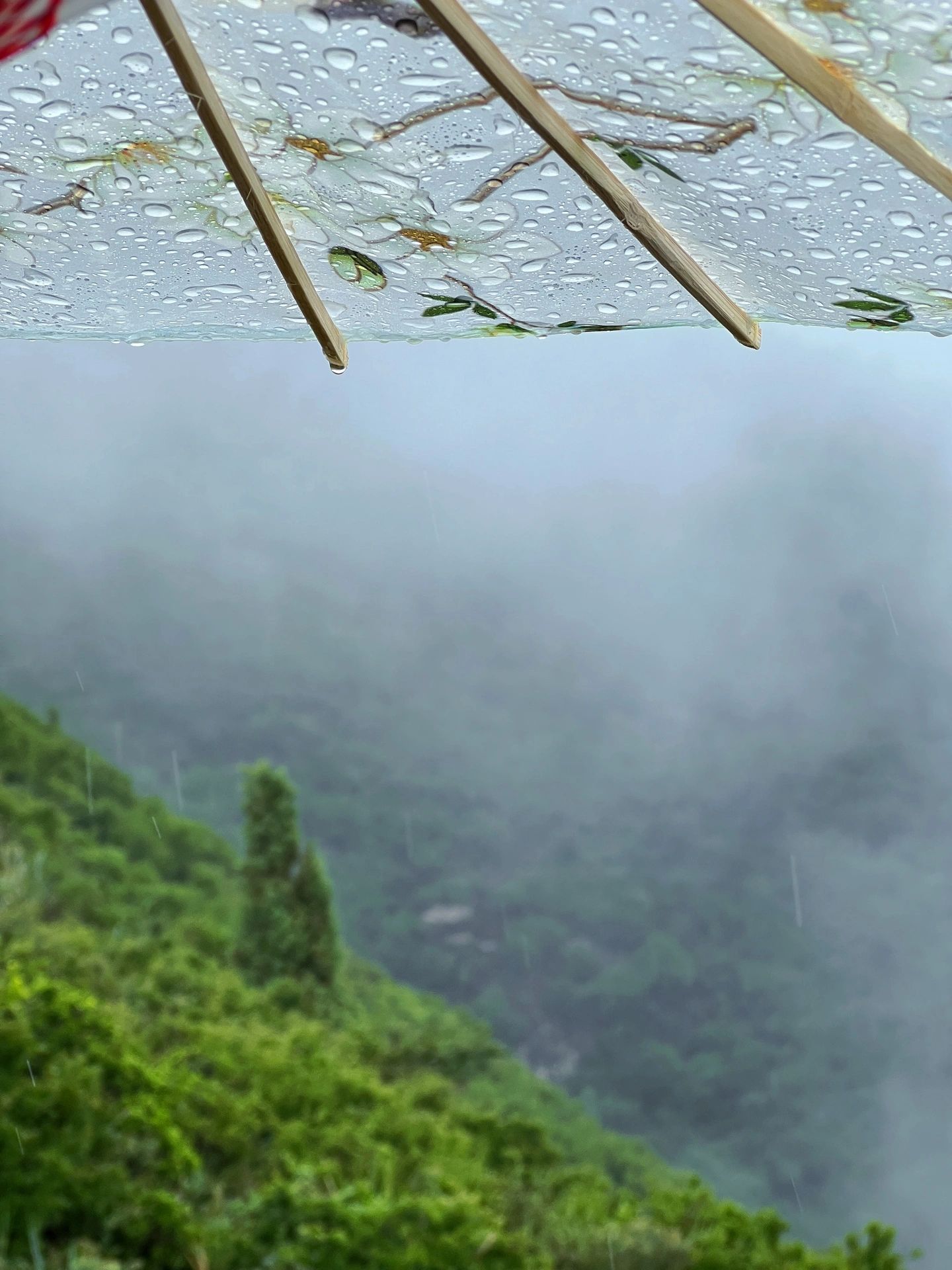 恒山再见，这是真的最后一顿