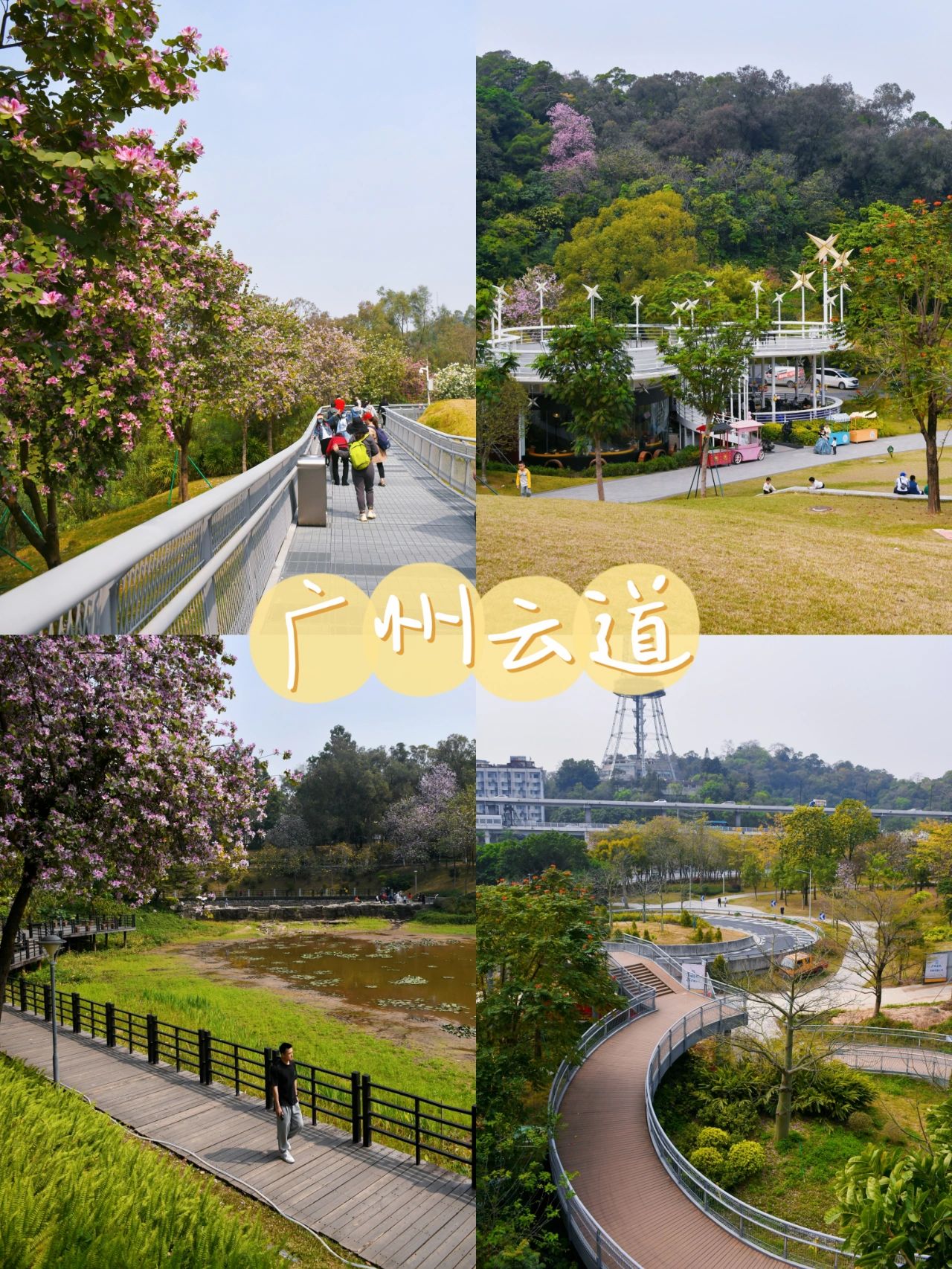 广州一人行去 云道