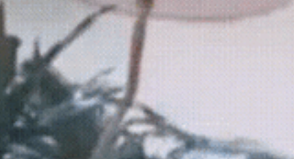 湖南长沙，女孩摔倒，手里的冰激凌弄脏衣服，结果遭到母亲暴打、用椅子砸。餐厅员工看