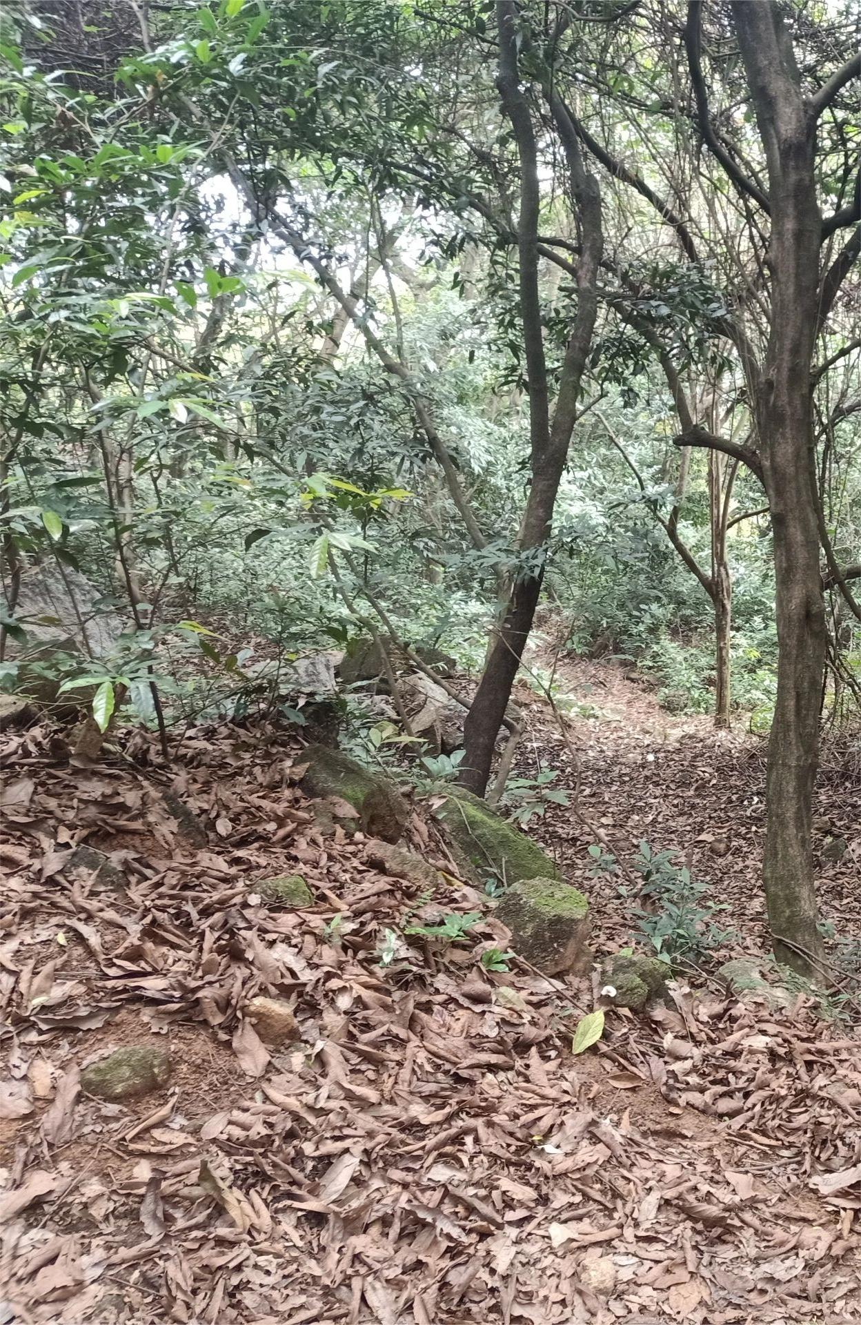 出行有感No.11~暴走12KM的刘香线