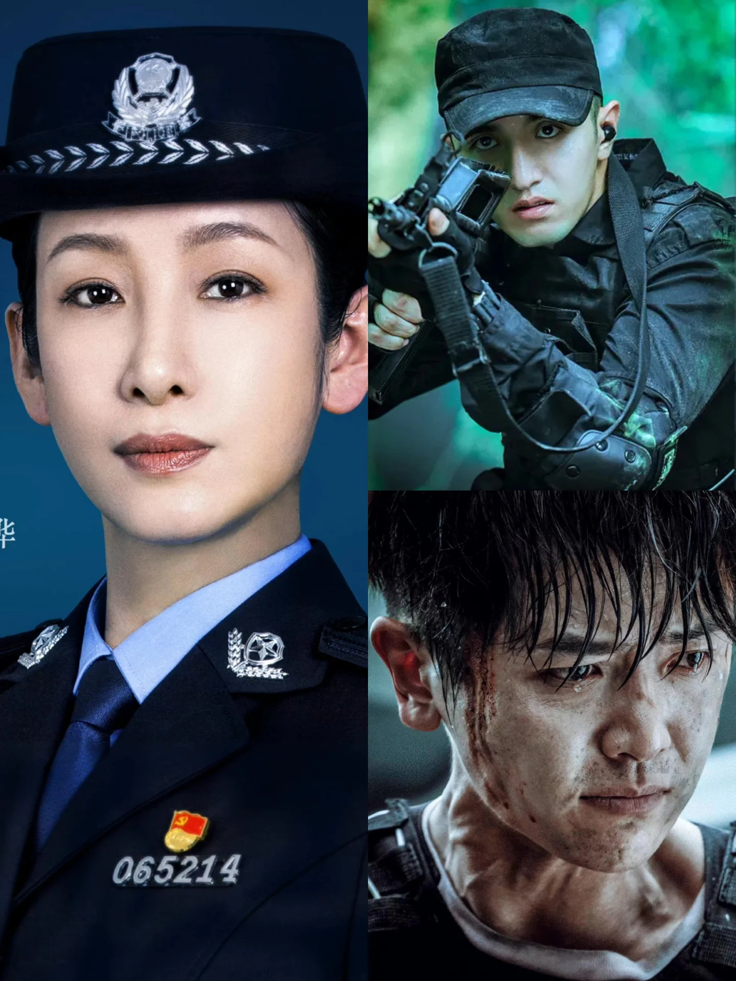 刑侦题材‼️秦海璐➕两大男神‼️