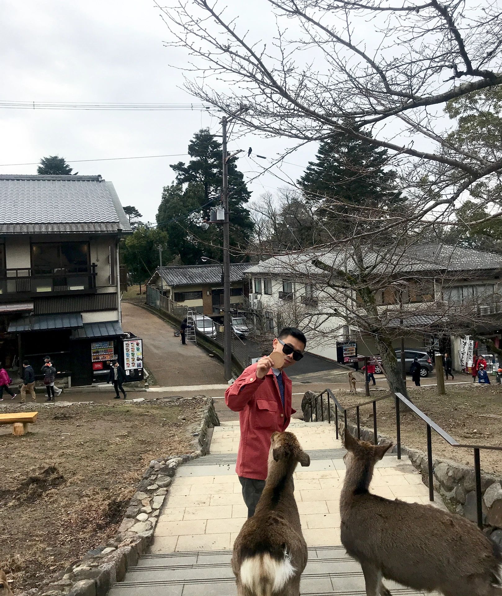 去日本玩十天的穷游攻略