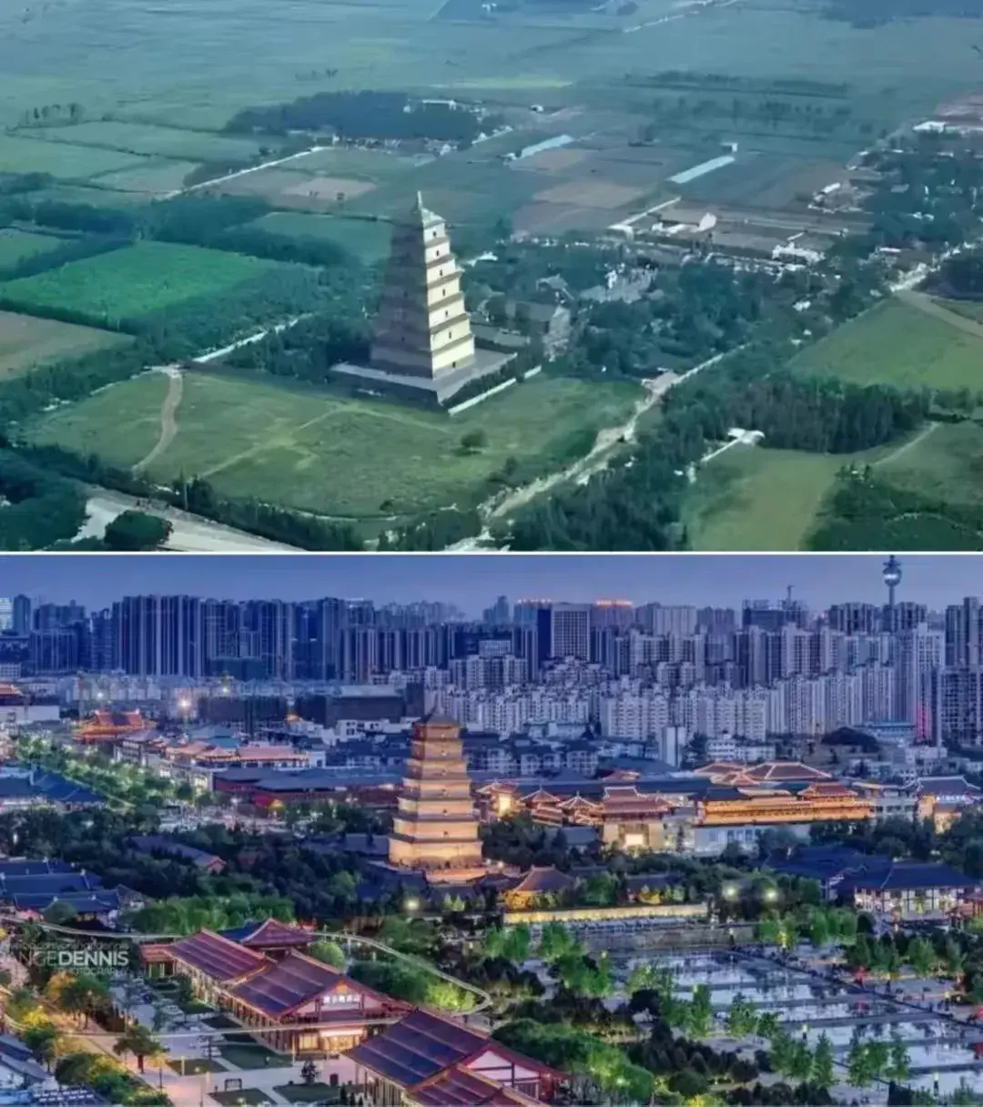 这就是水稻上山，退林还耕的原因吧！