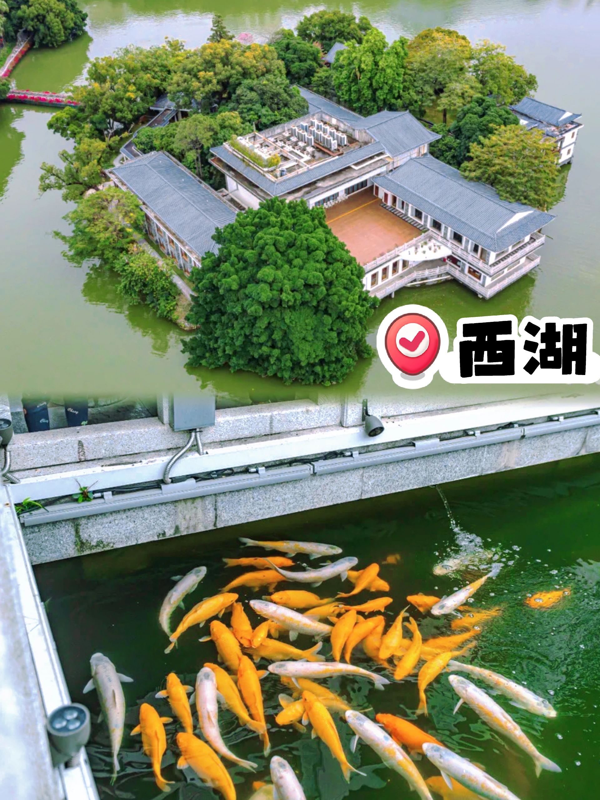 下一站惠州市免费游玩攻略