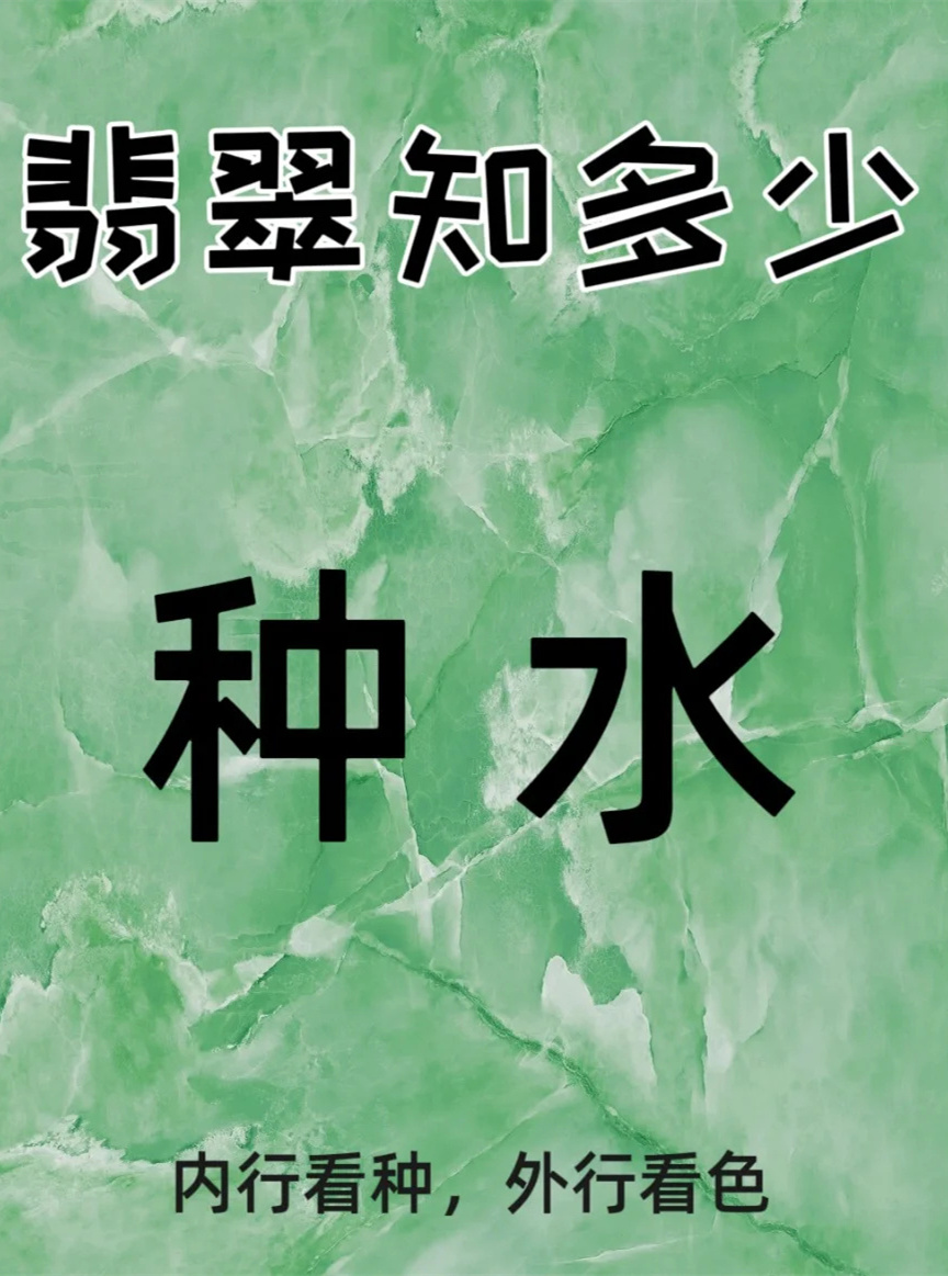 干货分享|一分钟教你看懂种水‼️