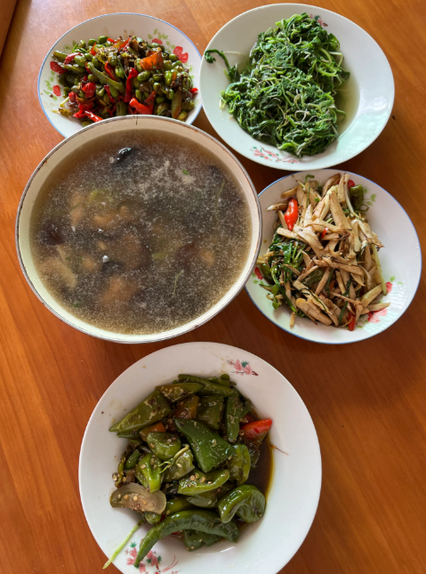 下班回来婆婆把饭煮好了
还烧了很多菜
餐桌上我给了这个月的伙食费500块
也不知