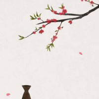 郑斯雅