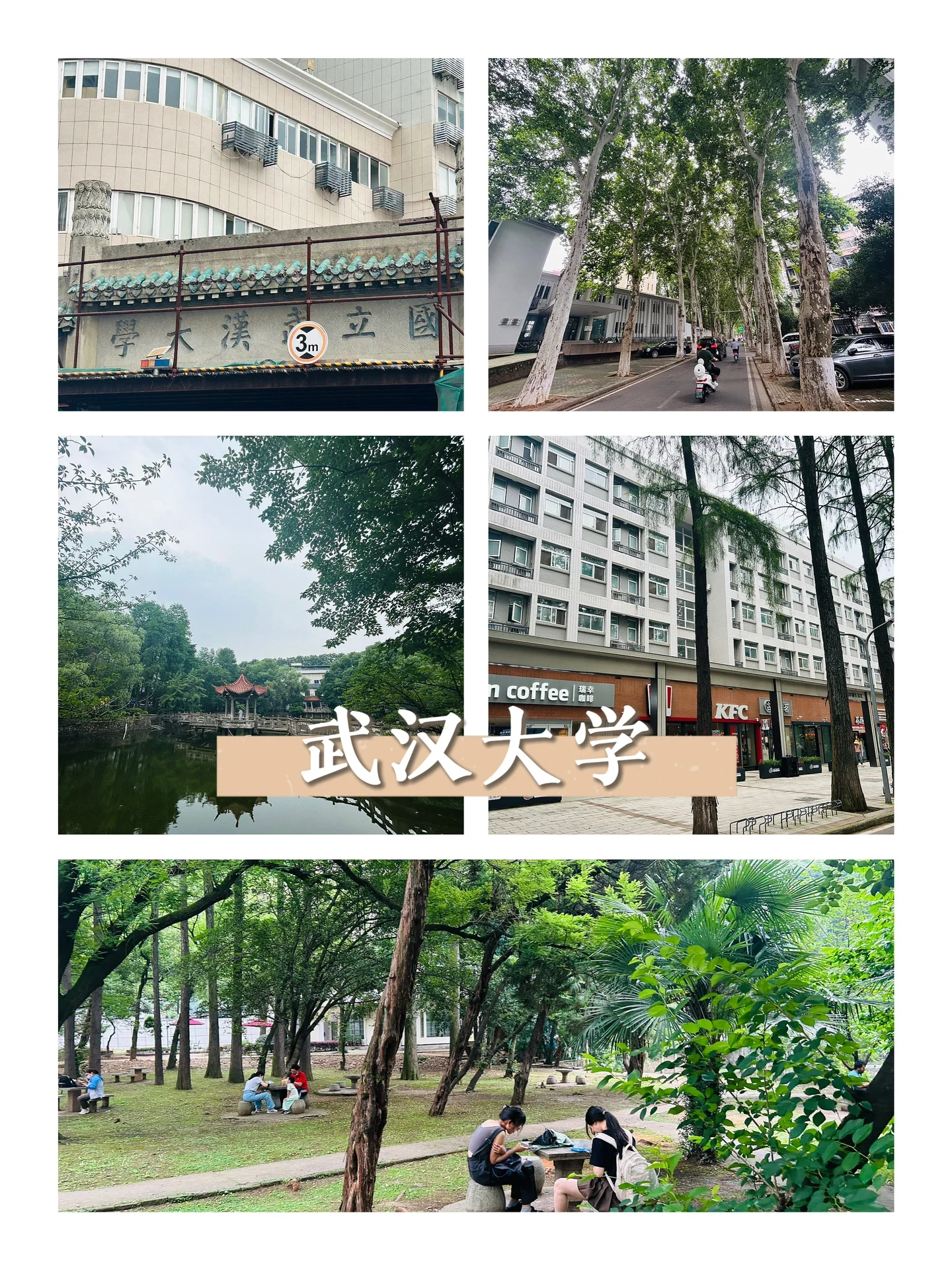 二天一晚｜武汉亲子游