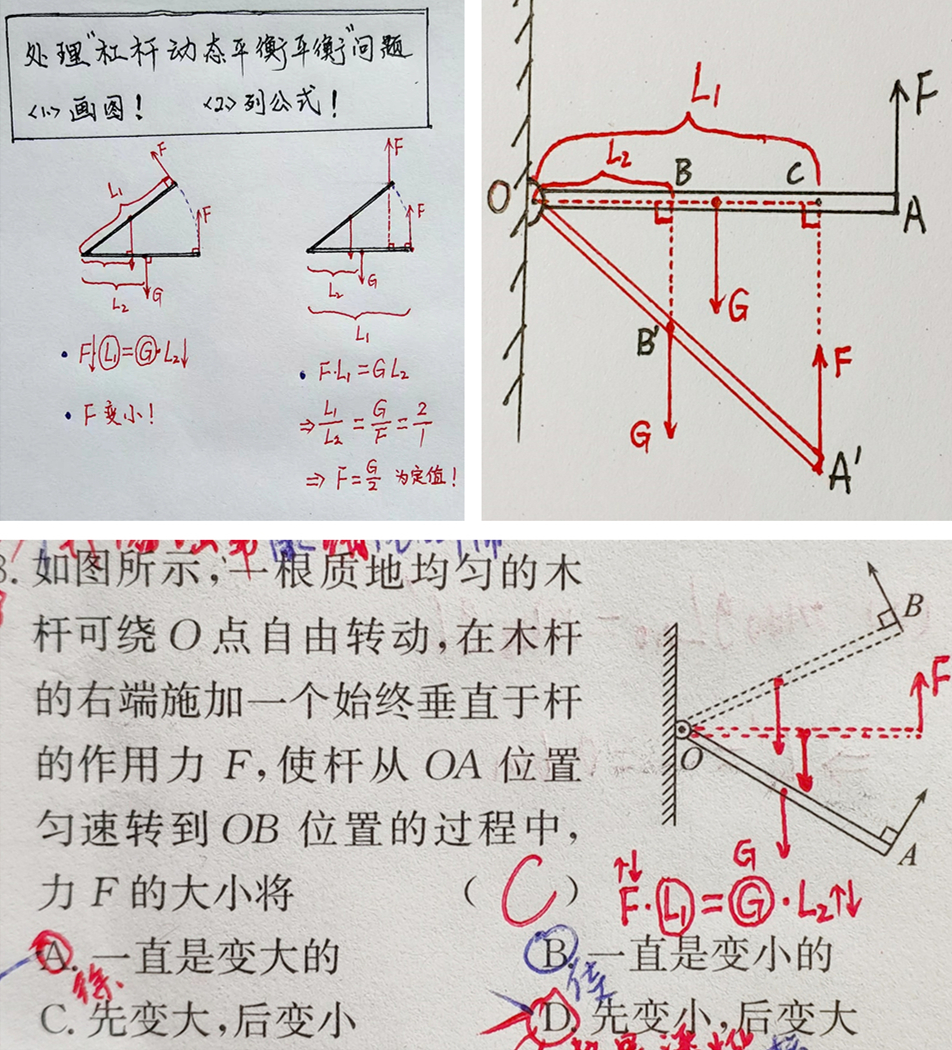 【任何中考时所犯的错误，都源于当初学习时所留下的漏洞】

在中考前尽快弥补这些漏