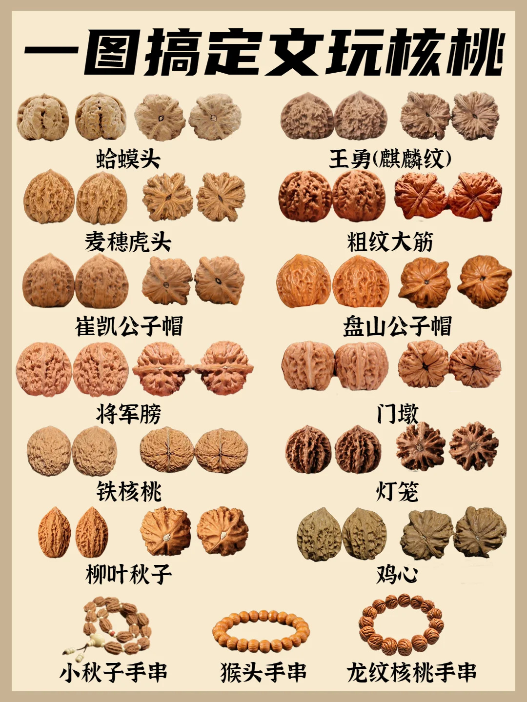 文玩科普鉴定 | 一图搞定文玩核桃