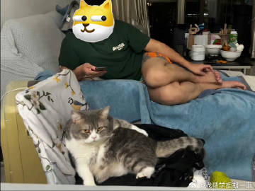 有什么样的主人就有什么样的猫 ​