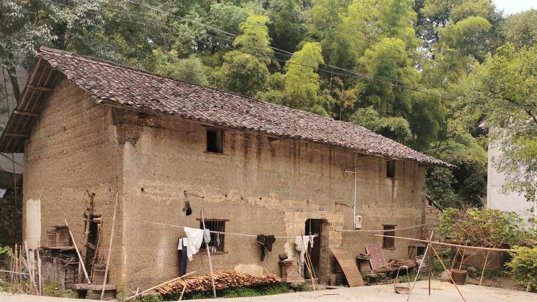 她一出生就被扔到乡下无人问津，成年后父母却跪着求她回家？她：我要断绝关系！