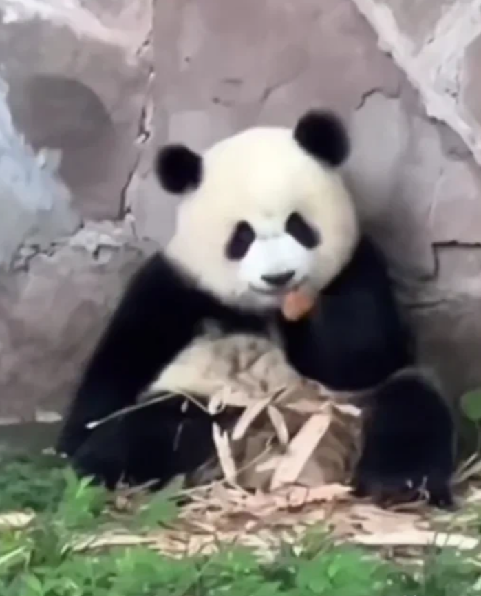 碧峰峡可怕吗？
可怕的是人吧，
不怕遭天谴吗？
民之所盼，请善待国宝，不吃你的，