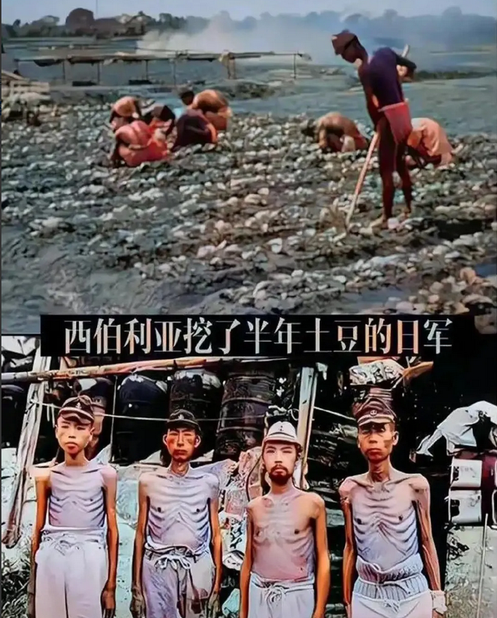 当年的苏联已经仁慈了，还有土豆吃。 ​
