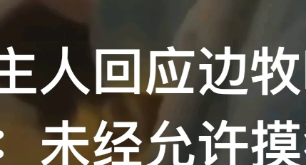 湖北武汉，一网红女子被边牧狗咬伤脸部，索要赔偿，却遭网民一致谴责。

事是怎么回