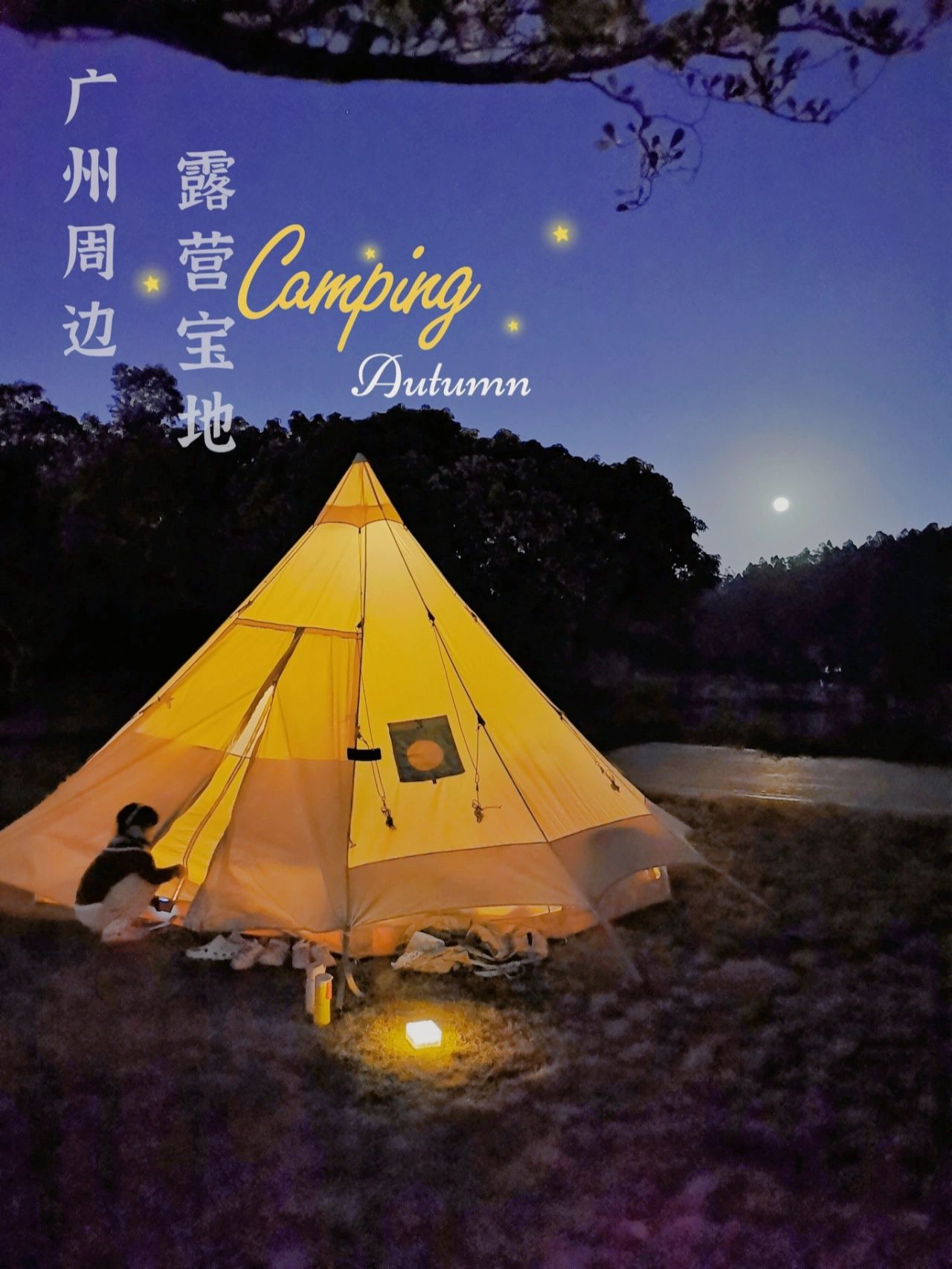 广州周边露营宝地|沉浸式治愈森系