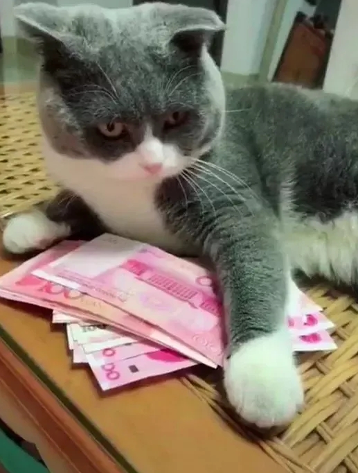 我有个秘密，谁都没说，包括我女儿！

退休三年了，干了一辈子，挣得的全部养老钱只
