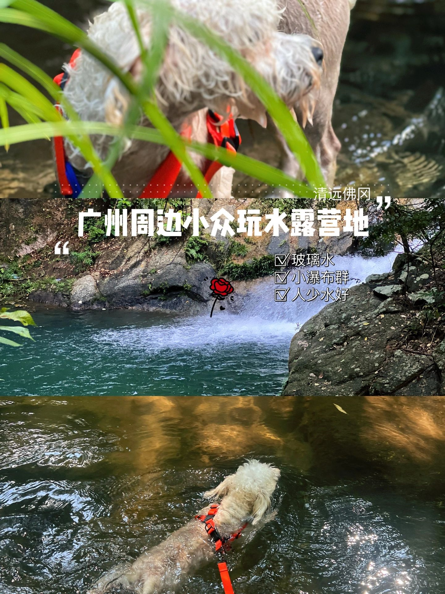 广州周边｜清澈的溪水小瀑布玩水好去处