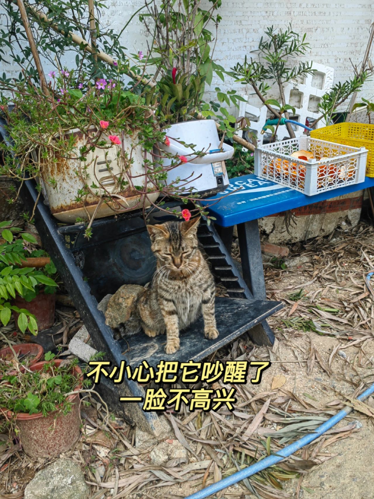 一个人来走走火凤线
