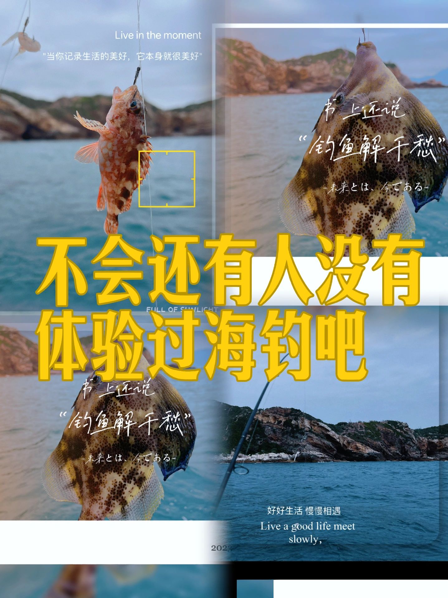 不会还有人没体验过海钓吧