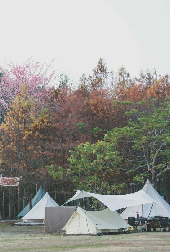 营地探店系列：从化露营清吧