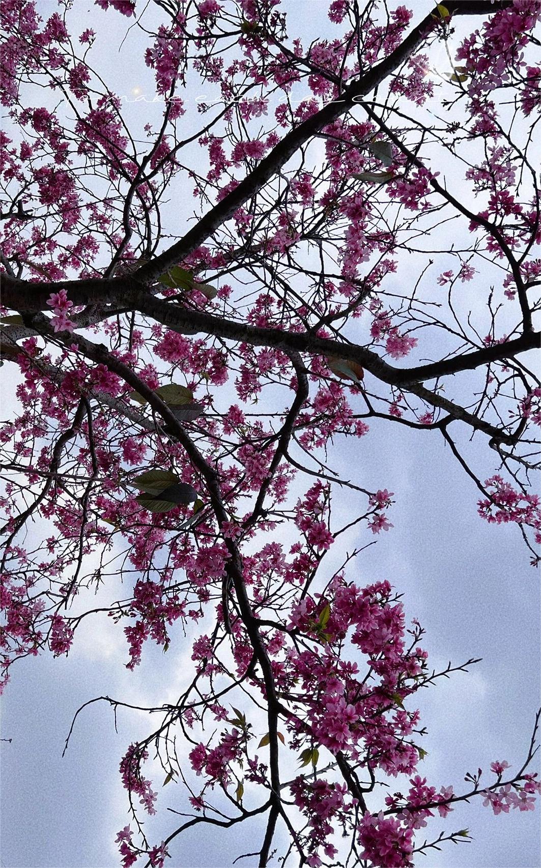 广州打卡公园/帽峰山⛰️