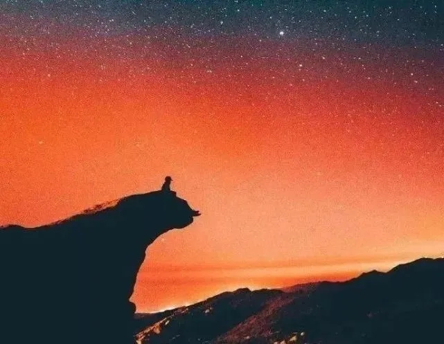 ​你值得更好的 

有人说，最好的爱情，是因为爱你，让我遇见了更好的自己。

可
