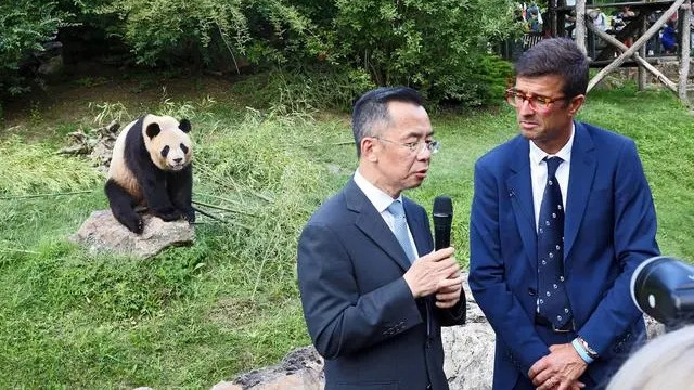 欢迎旅居法国的大熊猫“圆梦”回到中国！