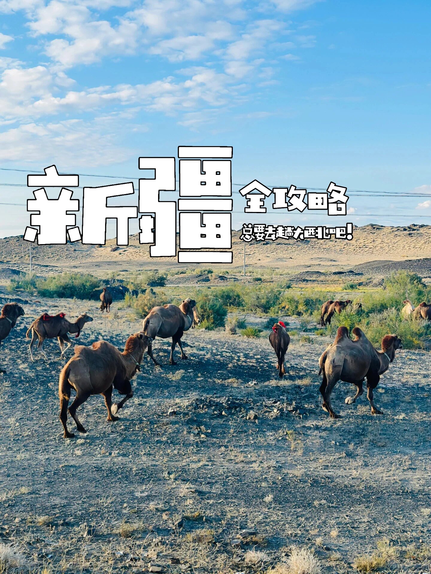 如果你第一次来新疆 | 全攻略 | 下