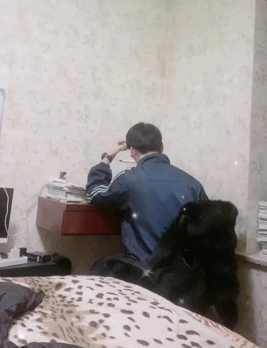 高二的儿子，班级第一名，每天从早学到晚，不玩游戏， 不刷手机，每天按时完成学习计