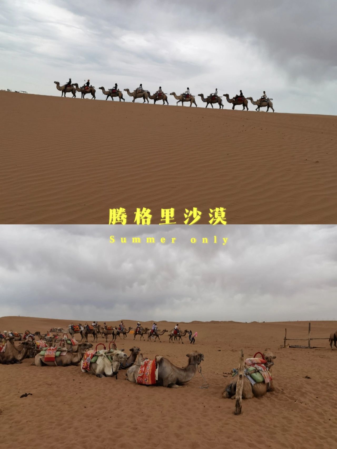 银川遛娃地合集避暑旅居好地方