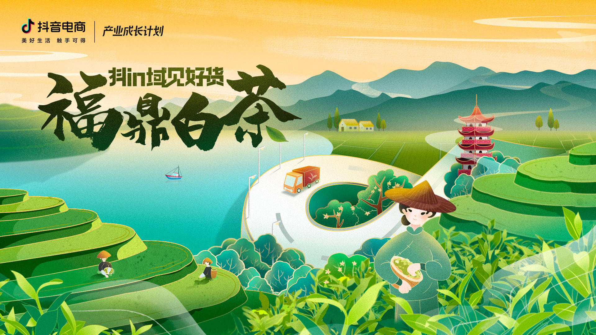 从产业带走向全国用户，福鼎白茶如何打破地域圈层？