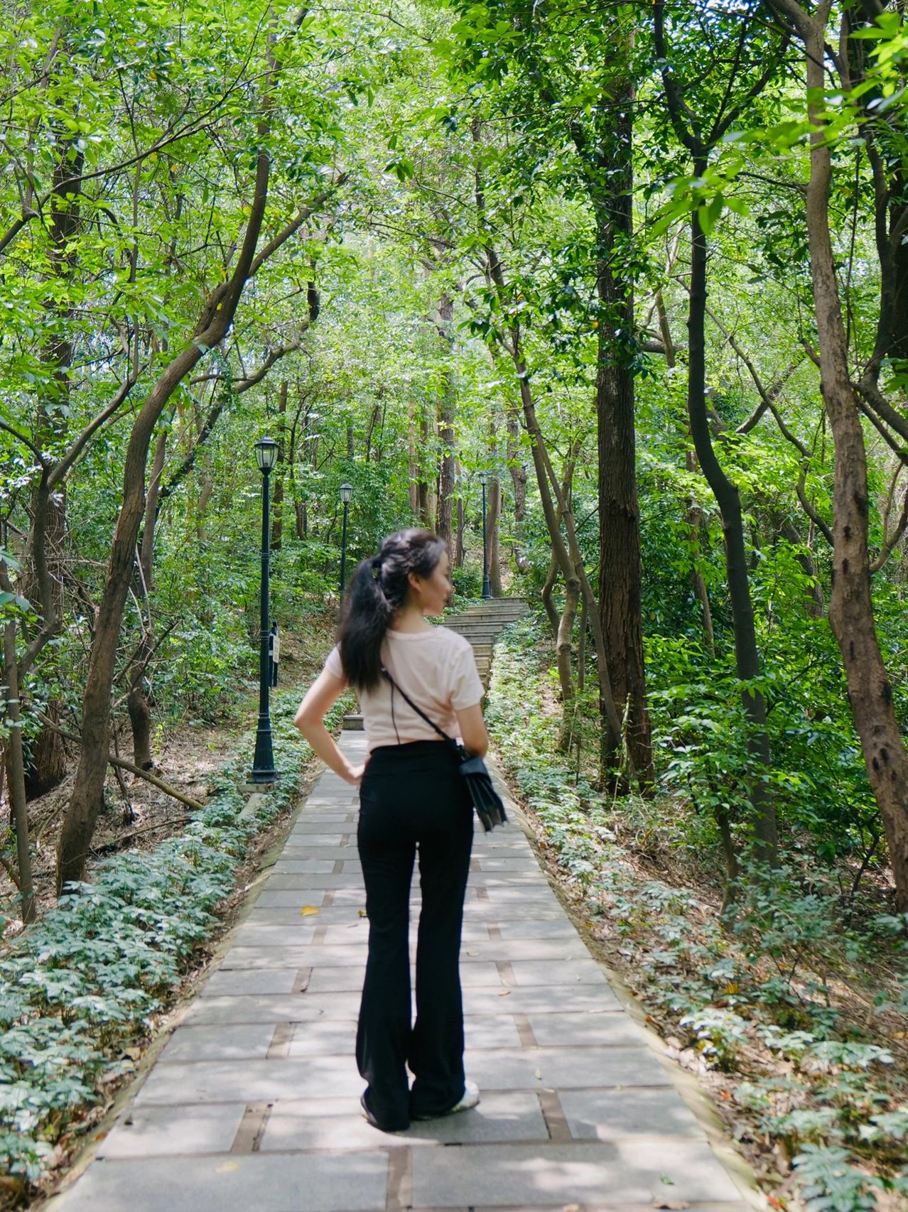 广州市区9座适合夏天爬的山近地铁多树荫