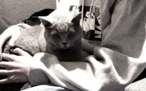 变成猫后，死对头捡下了满身狼狈的我……