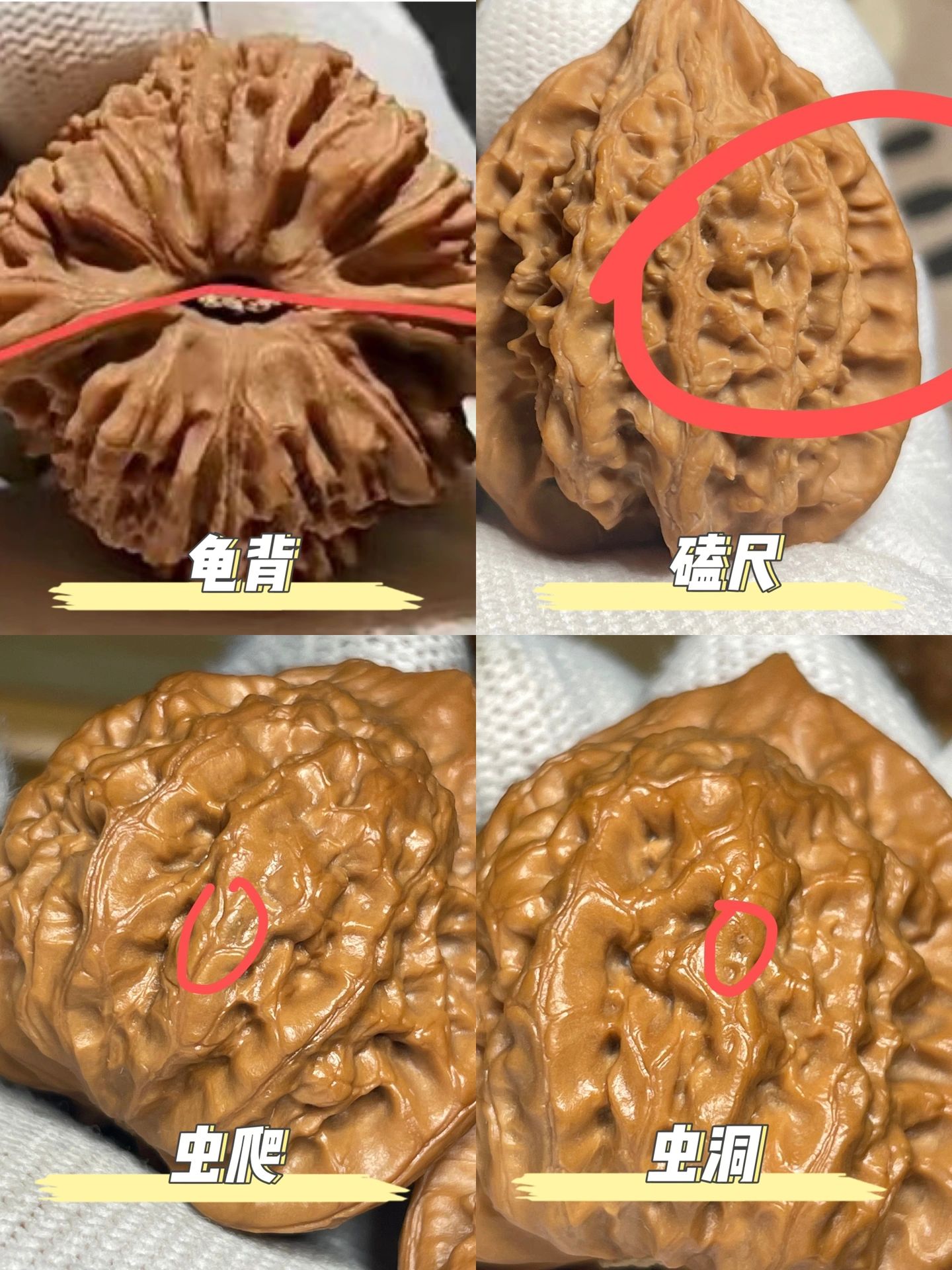 新手玩家要知道的核桃问题！