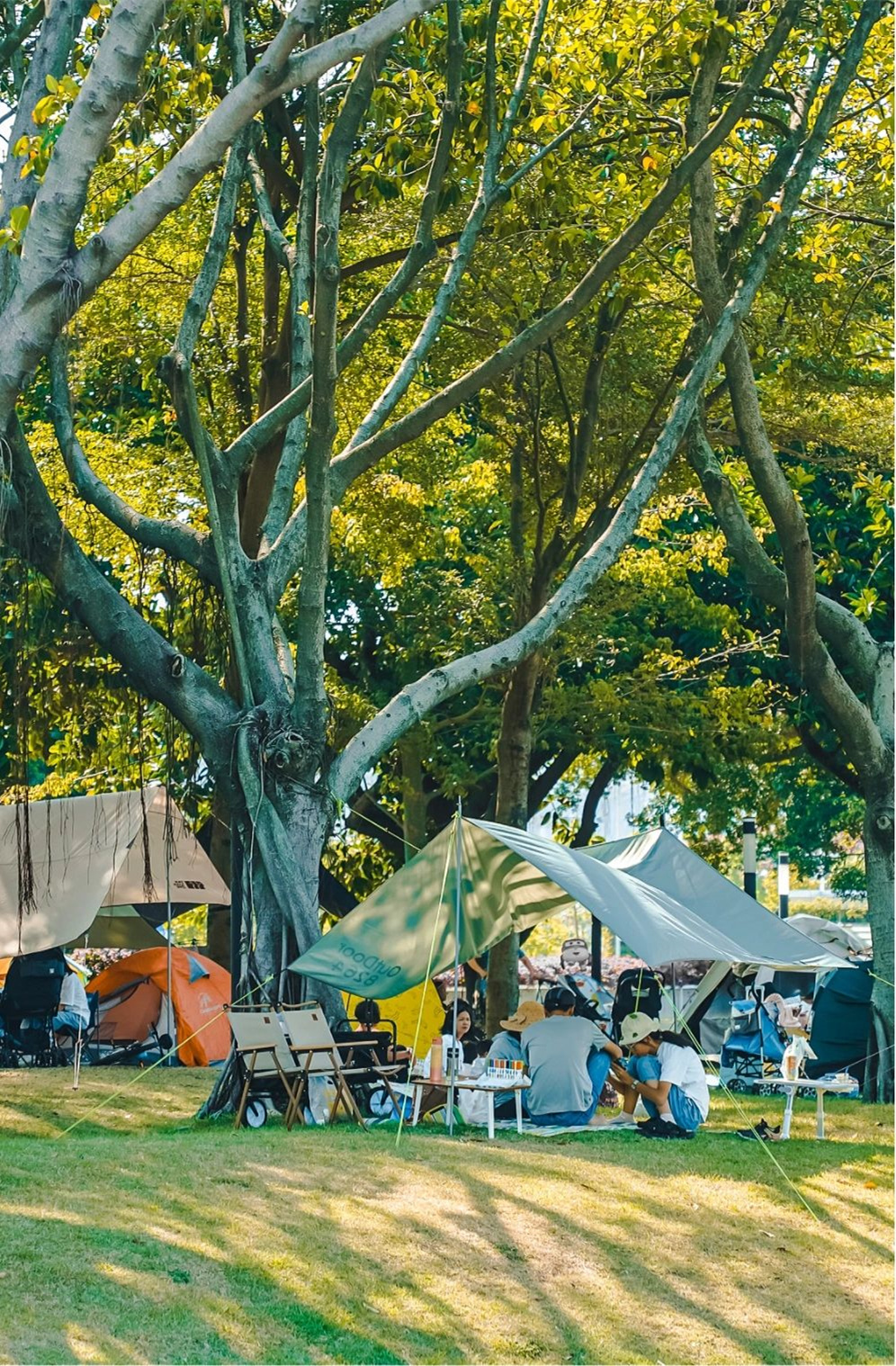 藏不住啦！广州秋季露营宝藏小众公园分享